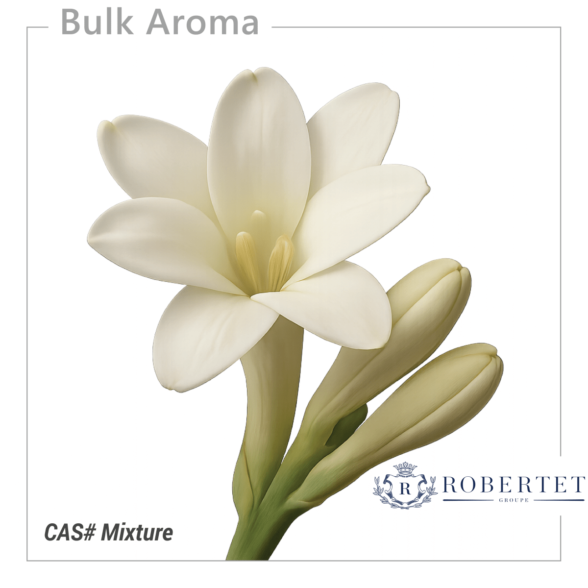 Tuberose Floraline 75 ROBERTET – Bulkaroma
