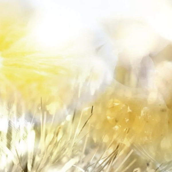 ALDEHYDE MNA - dsm-firmenich DIRECT