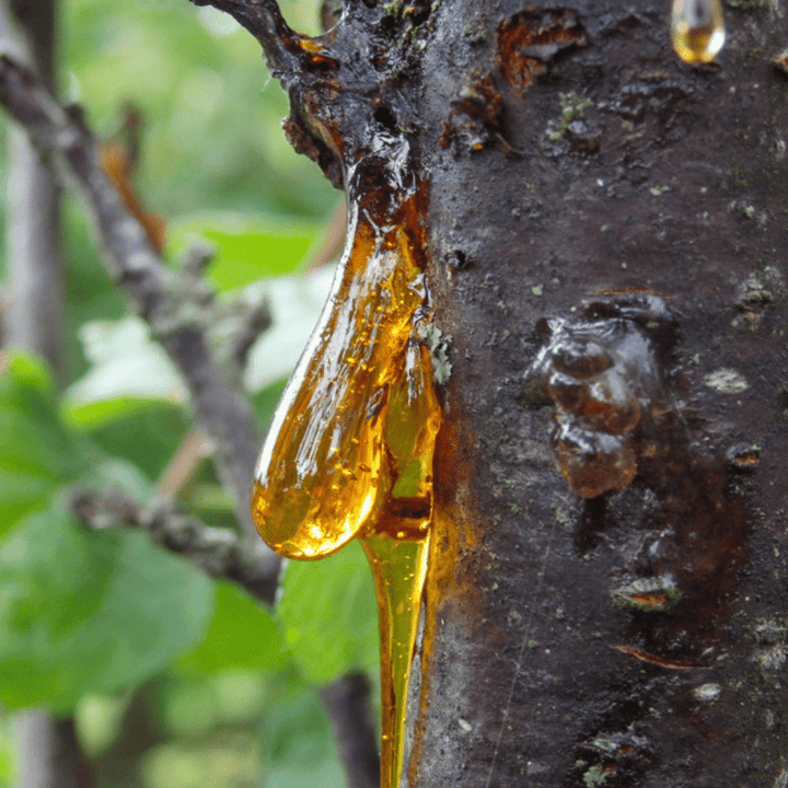 Resinoid Benzoin 70% DEP - PA - 100IS - Naturals - Indian Manufacturer - Bulkaroma