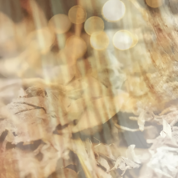 CLEARWOOD® - dsm-firmenich DIRECT