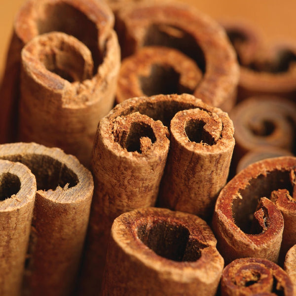 Cinnamon Bark Essential Oil - PL-1001PF - Naturals - Indian Manufacturer - Bulkaroma