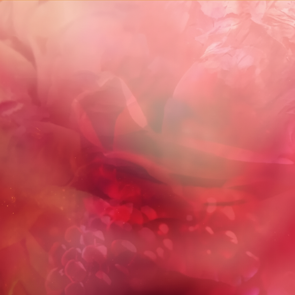 DAMASCENONE - dsm-firmenich DIRECT