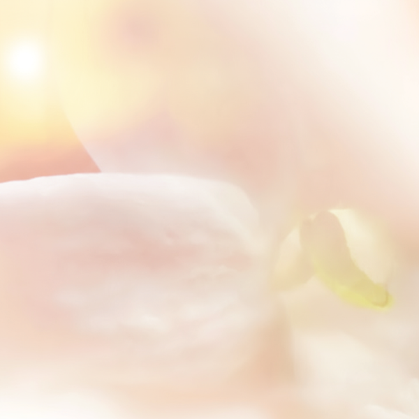 DELPHONE - dsm-firmenich DIRECT