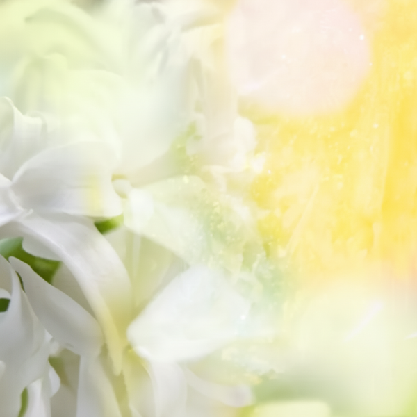 DYNASCONE® - dsm-firmenich DIRECT