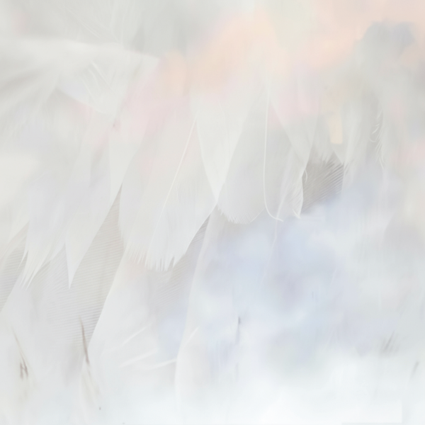 EXALTOLIDE® TOTAL - dsm-firmenich DIRECT