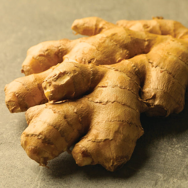 Ginger CO2 Extract - PL-1001PF - Naturals - Indian Manufacturer - Bulkaroma