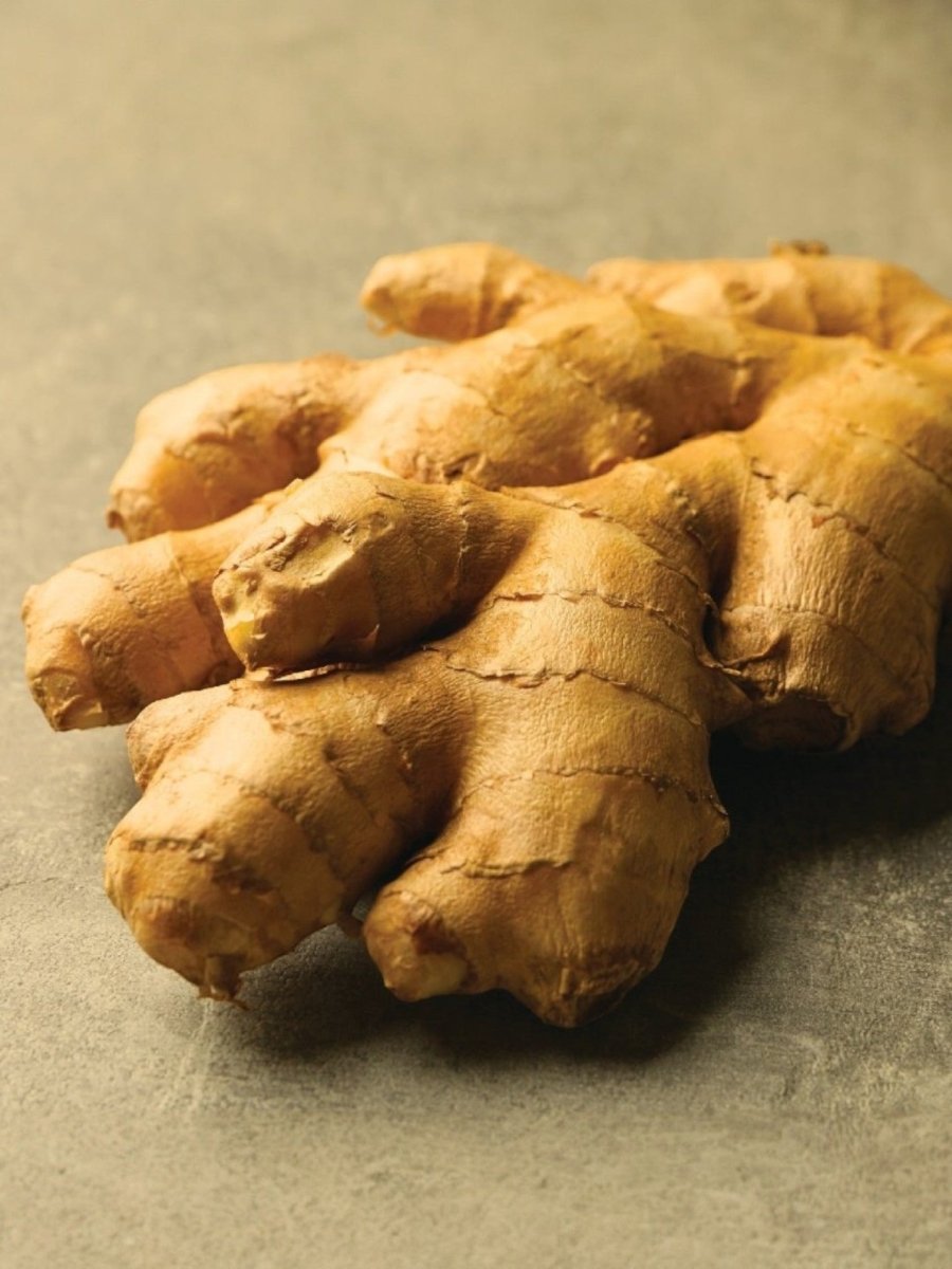 Ginger CO2 Extract - Zingiber Officinale - India - PL-1001PF – Bulkaroma