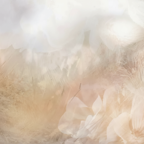 HABANOLIDE® - dsm-firmenich DIRECT