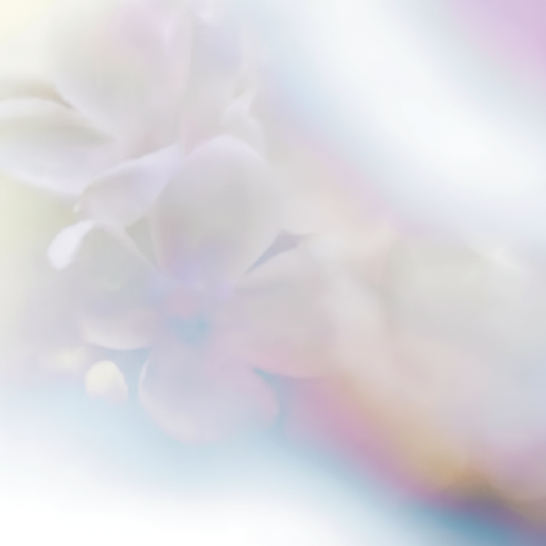 HEDIONE® - dsm-firmenich DIRECT