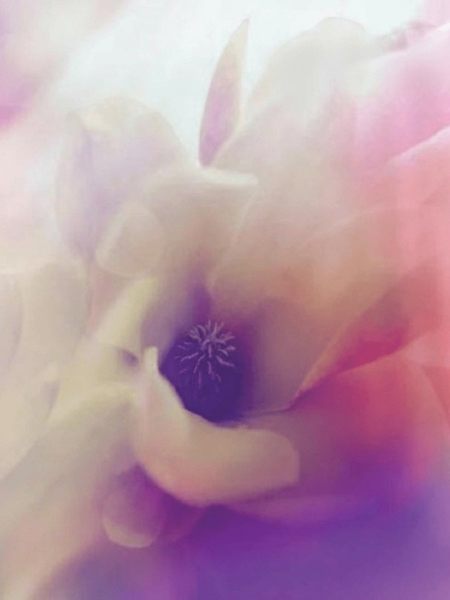 MAYOL® - dsm-firmenich Perfumery Ingredients – Bulkaroma