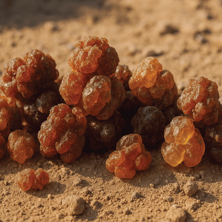 Myrrh Essential Oil - Commiphora myrrha - Somalia - PL - 100AP - Naturals - Indian Manufacturer - Bulkaroma