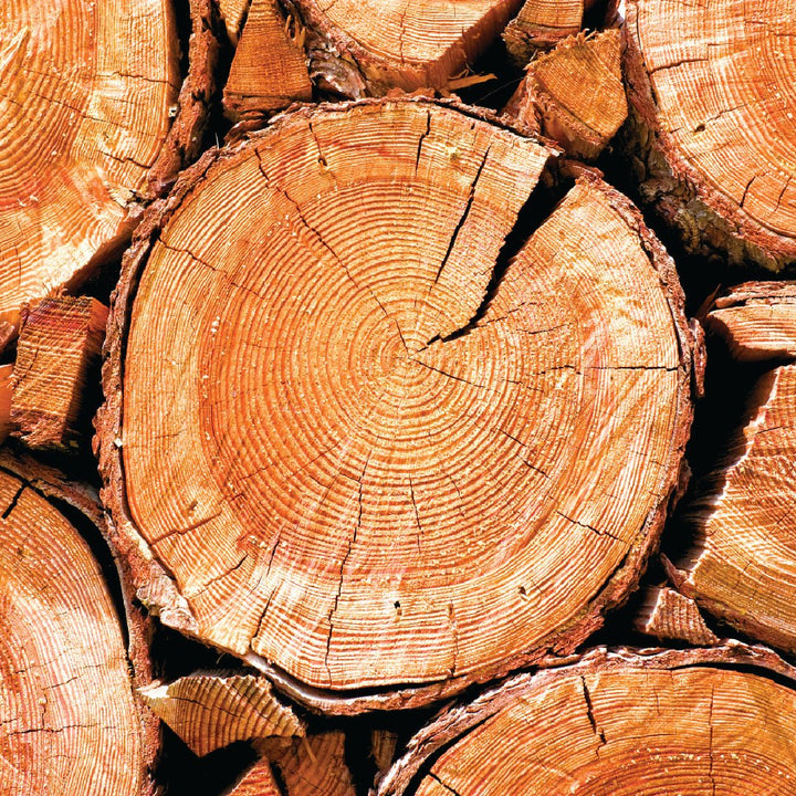 Santalum Album Essential Oil - Bulkaroma - Naturals - Bulkaroma - Bulkaroma