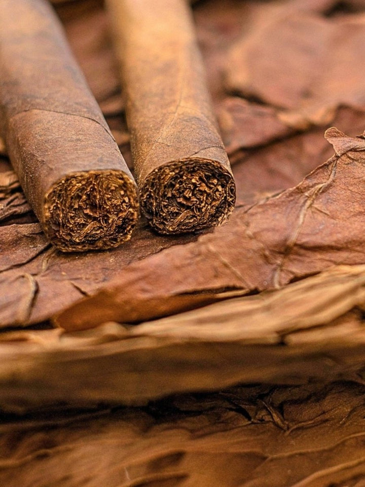 bulgarian tobacco absolute from Payan Bertrand – Bulkaroma sensual notes of leather and premium quality cigars Tobacco absolute Essential Oil