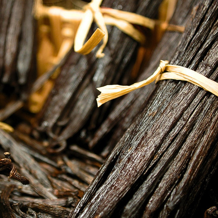 Vanilla Absolute - Vanilla Planifolia - India - PB - 1111TK - Naturals - Indian Manufacturer - Bulkaroma