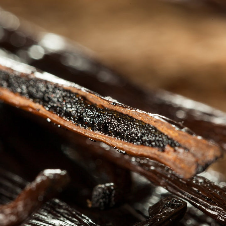 Vanilla Oleoresin - Vanilla Planifolia - India - PB - 1111TK - Naturals - Indian Manufacturer - Bulkaroma