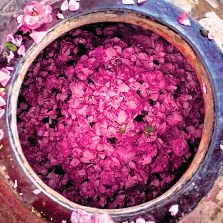 Attar Gulab (IPM Co-Distilled) - ML Ramnarain - Naturals - ML Ramnarain Perfumers - Bulkaroma